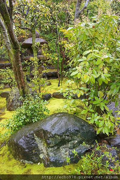 DSC08085.JPG DSC08085.JPG