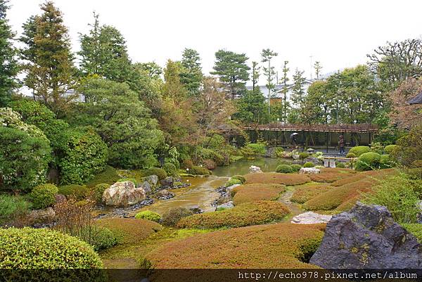 DSC08093.JPG DSC08093.JPG