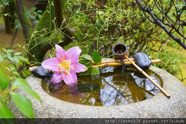 DSC08094.JPG DSC08094.JPG