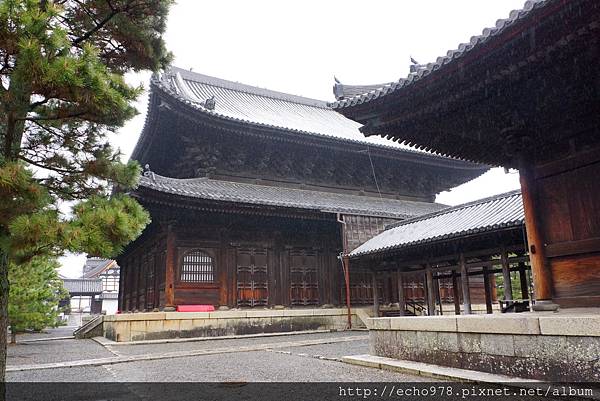 DSC08096.JPG DSC08096.JPG