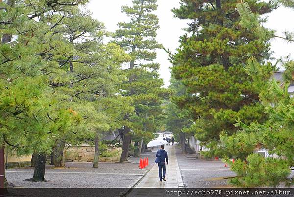 DSC08097.JPG DSC08097.JPG