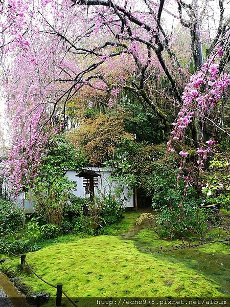 IMG_20170408_084720.jpg IMG_20170408_084720.jpg