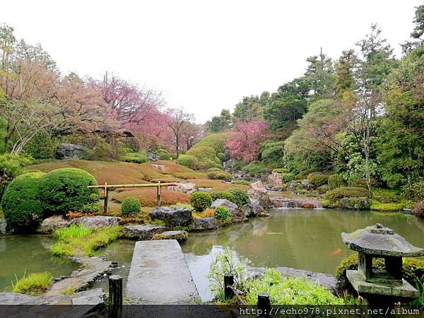 IMG_20170408_084841.jpg IMG_20170408_084841.jpg