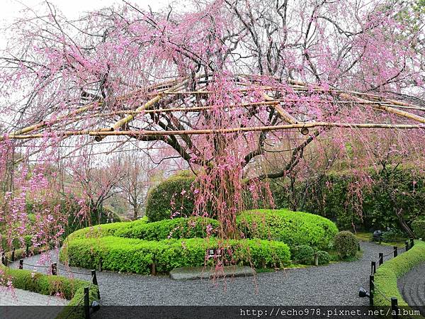 20170408 (2).jpg 20170408 (2).jpg