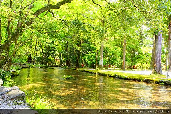 DSC08613.JPG DSC08613.JPG