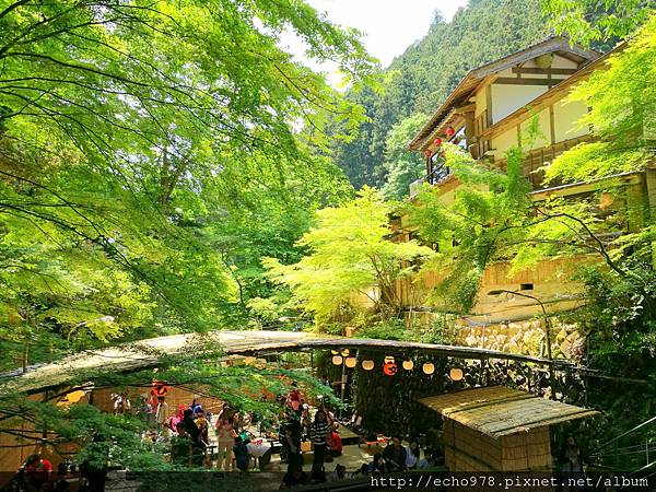 IMG_20170529_113649.jpg IMG_20170529_113649.jpg