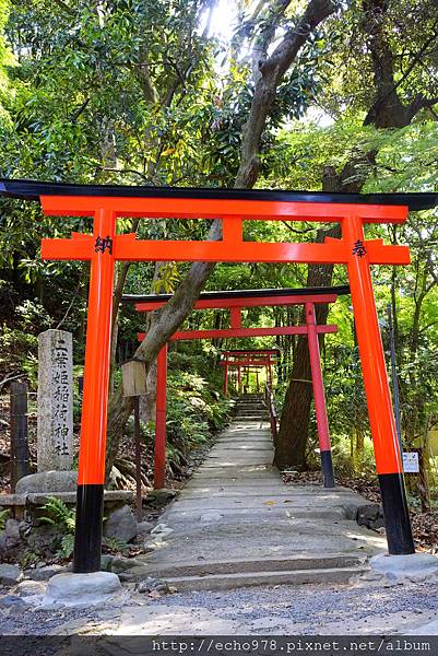 DSC08614.JPG DSC08614.JPG