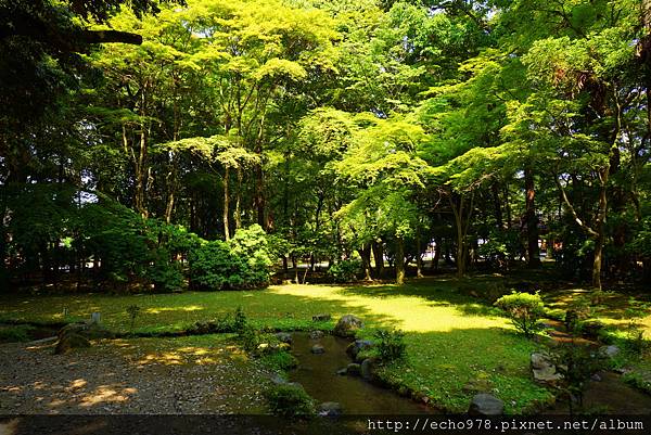 DSC08620.JPG DSC08620.JPG