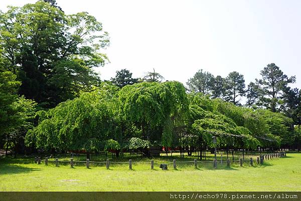 DSC08625.JPG DSC08625.JPG