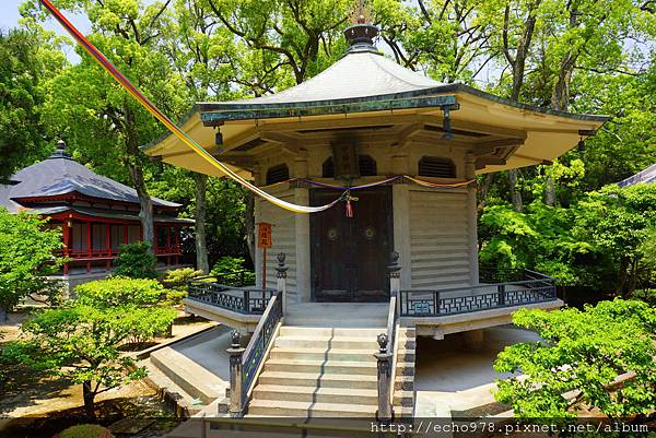 DSC08818.JPG DSC08818.JPG