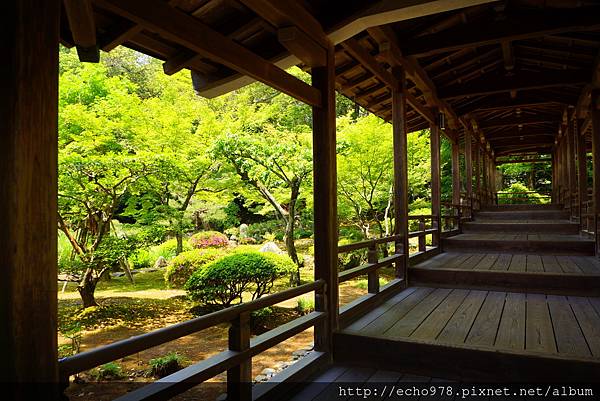 DSC08835.JPG DSC08835.JPG