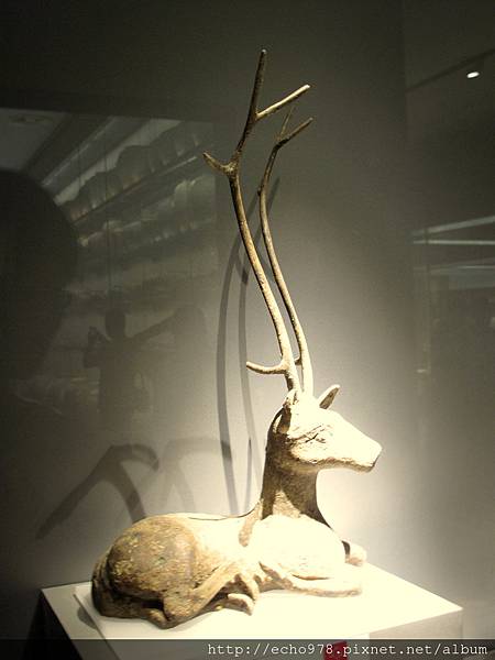 IMG_3055.JPG IMG_3055.JPG