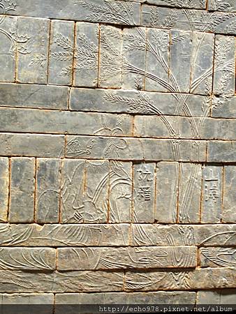 IMG_3104.JPG IMG_3104.JPG