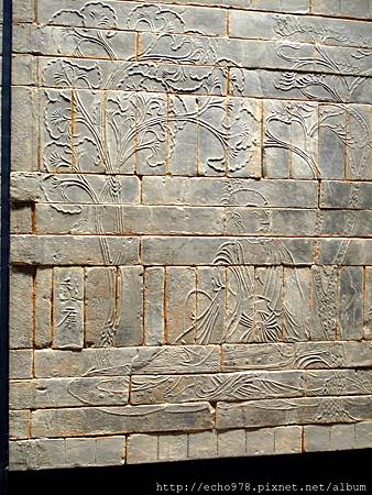 IMG_3107.JPG IMG_3107.JPG