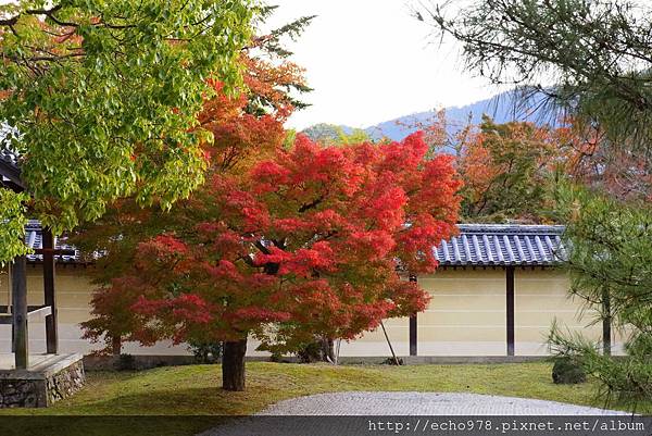 DSC09788.JPG DSC09788.JPG