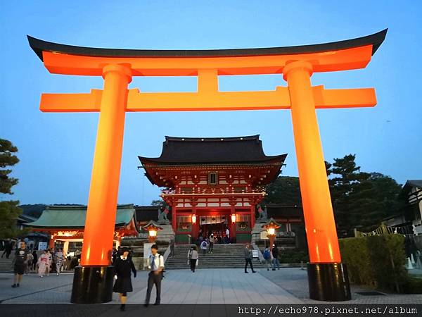 IMG_20181108_171658.jpg IMG_20181108_171658.jpg