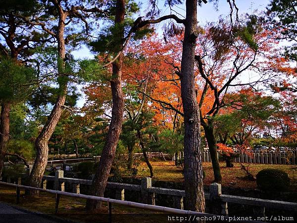 IMG_20181108_150558.jpg IMG_20181108_150558.jpg