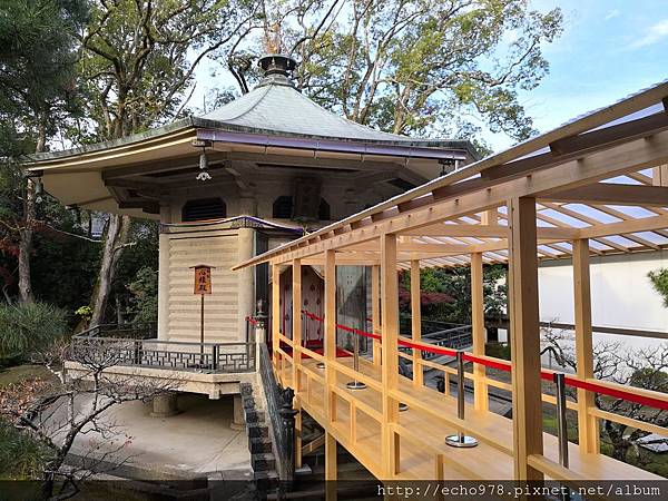 IMG_20181108_151958.jpg IMG_20181108_151958.jpg