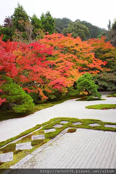 DSC09979.JPG DSC09979.JPG