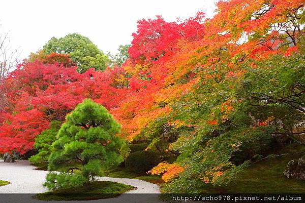 DSC09993.JPG DSC09993.JPG