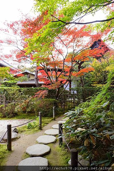 DSC00007.JPG DSC00007.JPG