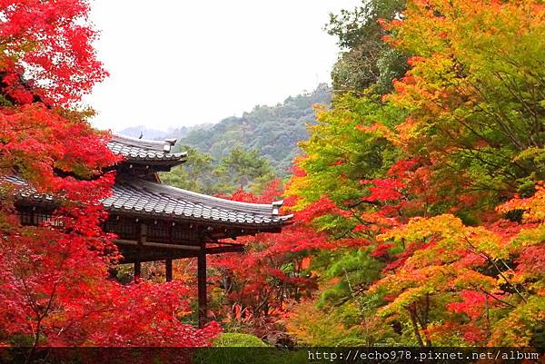 DSC00045.JPG DSC00045.JPG