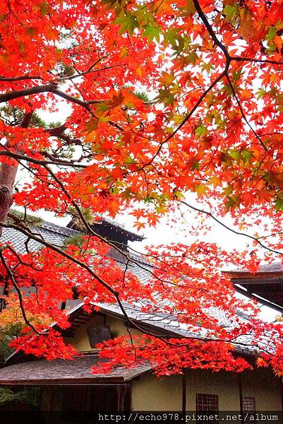 DSC00053.JPG DSC00053.JPG