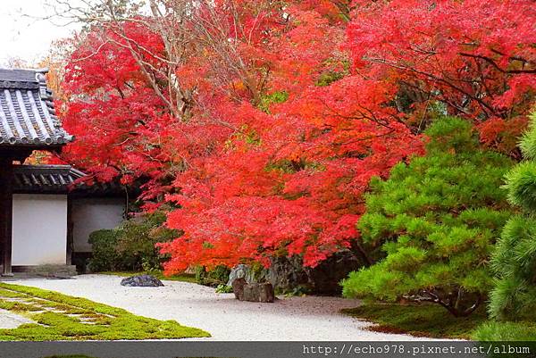 DSC00056.JPG DSC00056.JPG