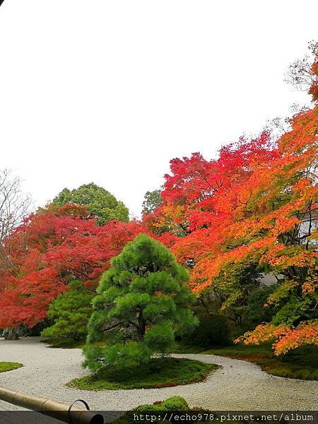 IMG_20181112_142539.jpg IMG_20181112_142539.jpg