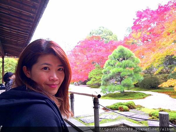 IMG_20181112_143344.jpg IMG_20181112_143344.jpg