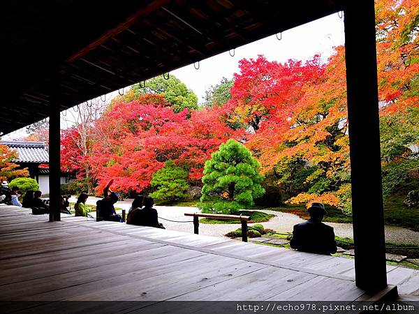 IMG_20181112_143658.jpg IMG_20181112_143658.jpg