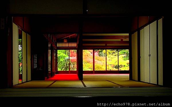 IMG_20181112_144421.jpg IMG_20181112_144421.jpg