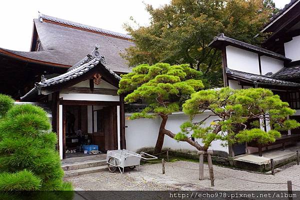 DSC00066.JPG DSC00066.JPG