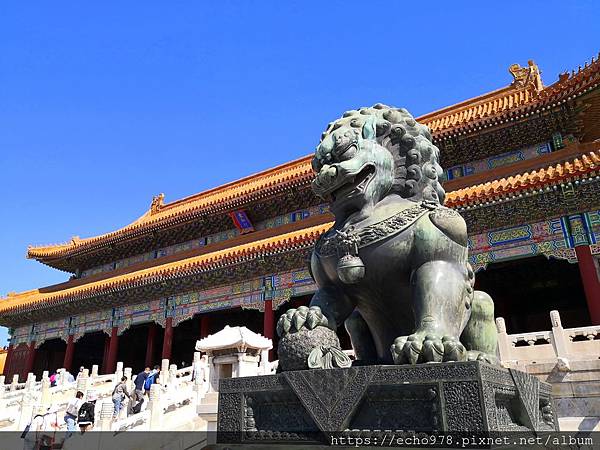 IMG_20200526_091950.jpg IMG_20200526_091950.jpg