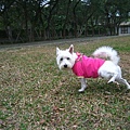 2007-12-18 下午 01-40-16.jpg