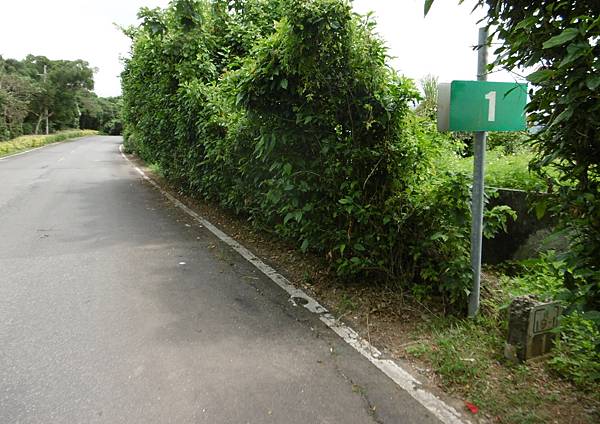 淡水三芝石門的鄉道（下）