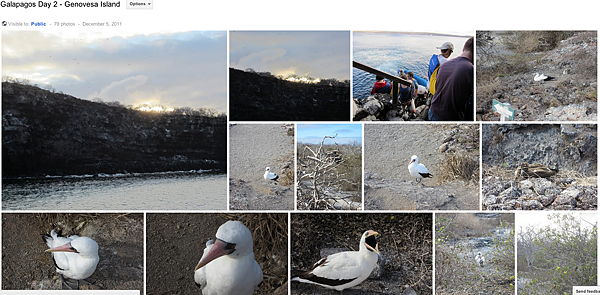 Galapagos Day 2 - Genovesa Island.png