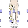 overpronation內旋過度.jpg