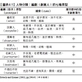 編劇（創意人）的七種原型