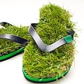 grass-flip-flop-shoes.jpg