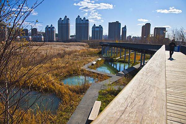 turenscape-Qunli-Stormwater-Wetland-Park-Harbin-China-4.jpg