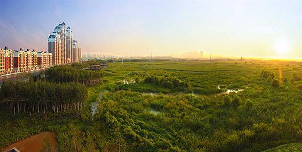 turenscape-Qunli-Stormwater-Wetland-Park-Harbin-China-5.jpg