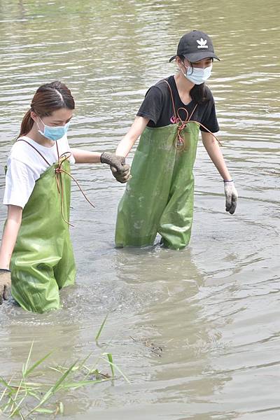 510號 關渡自然公園_200723_2.jpg