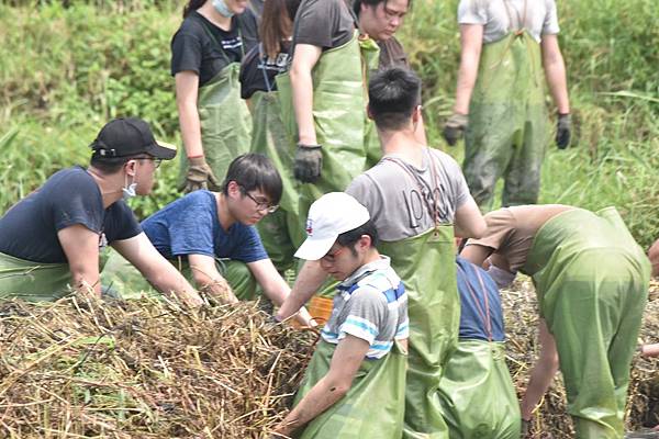 510號 關渡自然公園_200723_5.jpg