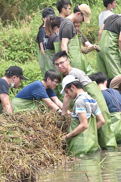 510號 關渡自然公園_200723_6.jpg