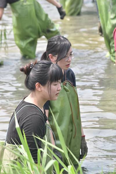 510號 關渡自然公園_200723_12.jpg