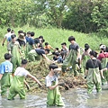 510號 關渡自然公園_200723_111.jpg