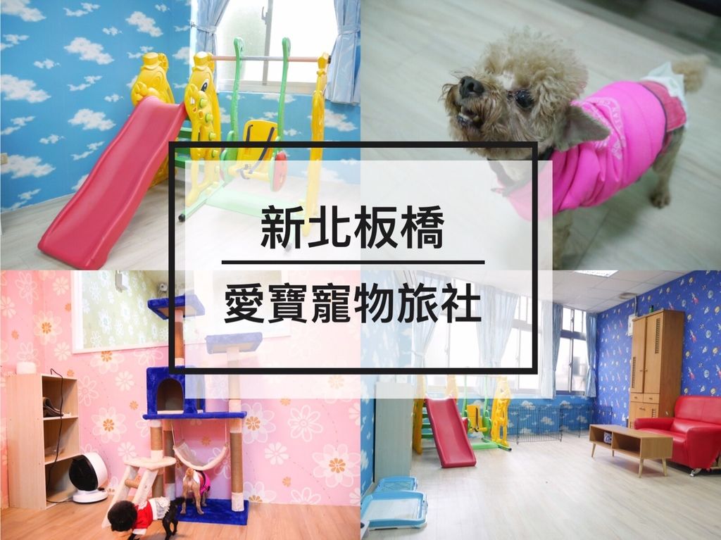 S__10887216.jpg S__10887216.jpg