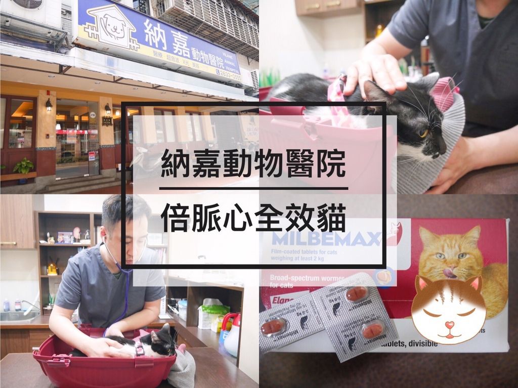 S__12410901.jpg S__12410901.jpg