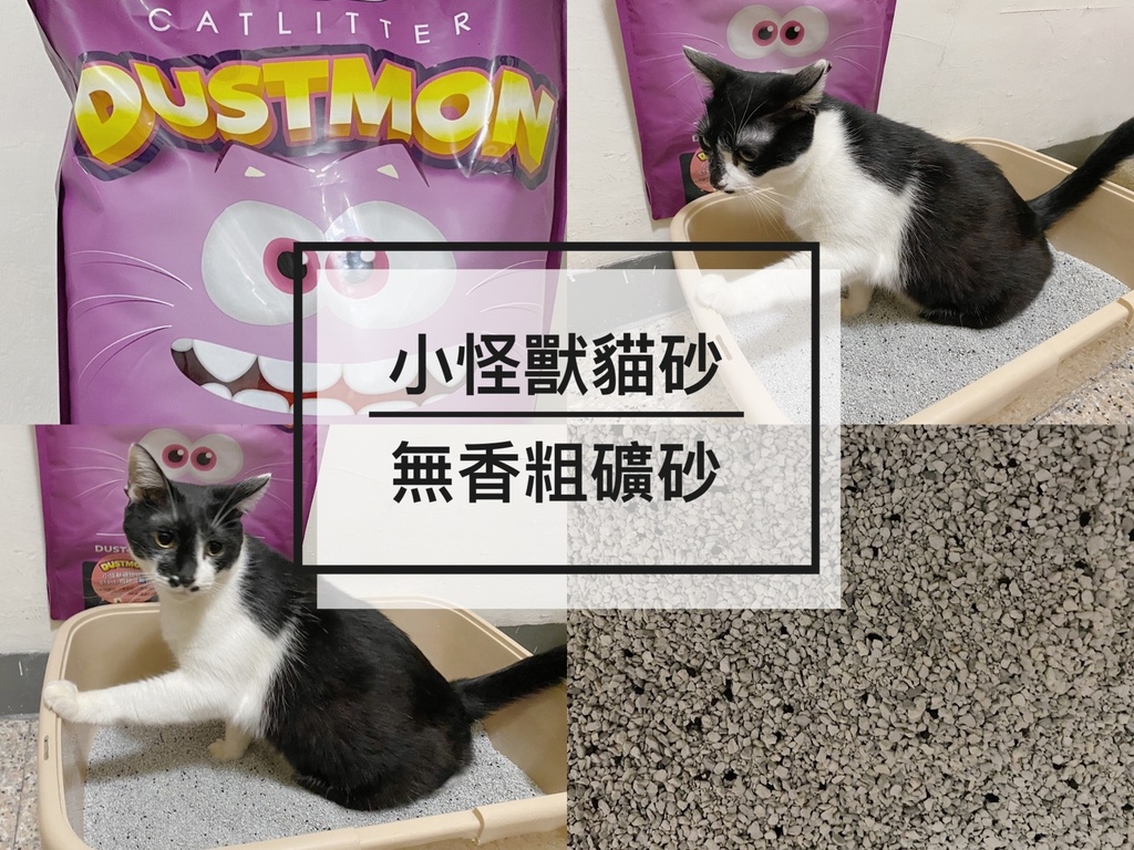 S__21741577.jpg S__21741577.jpg